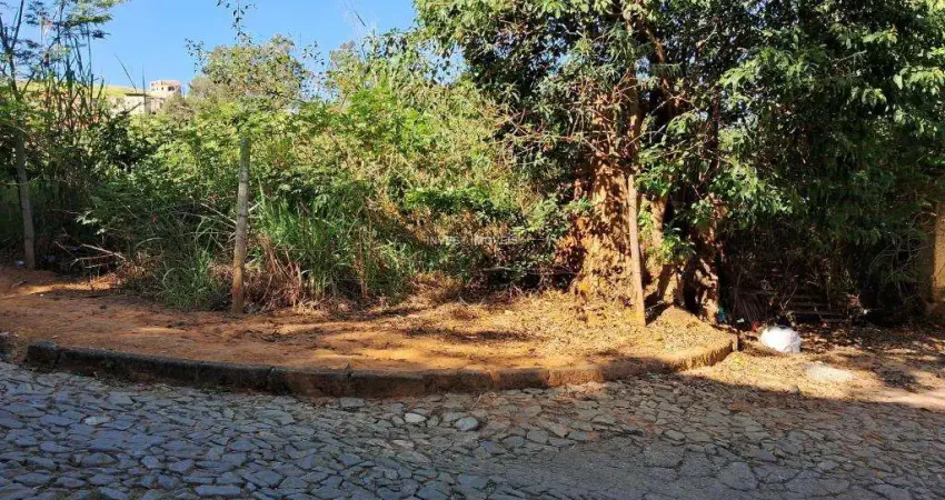 Terreno à venda na RUA FLORIANO PEIXOTO, Centro, Bicas