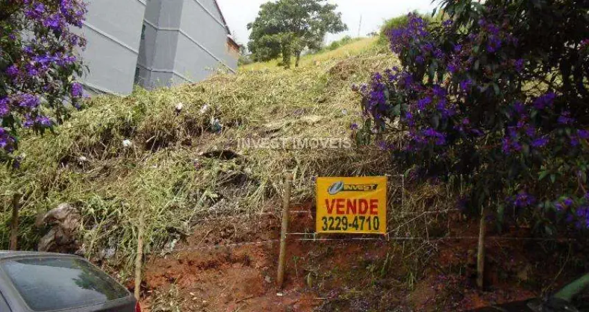 Terreno à venda na Rua Guacuí, 351 E 361, São Mateus, Juiz de Fora