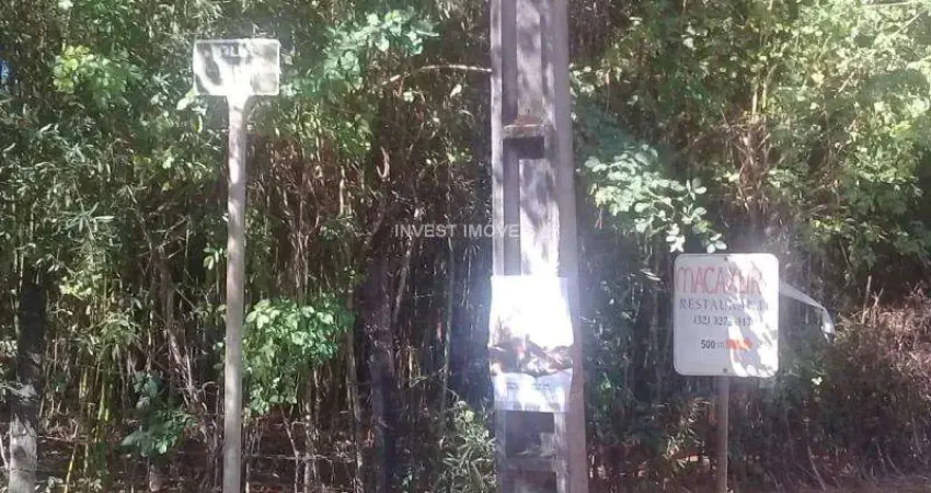 Fazenda à venda na AVENIDA VEREADOR MAURI CHAMPINOTTI, Zona Rural, Matias Barbosa