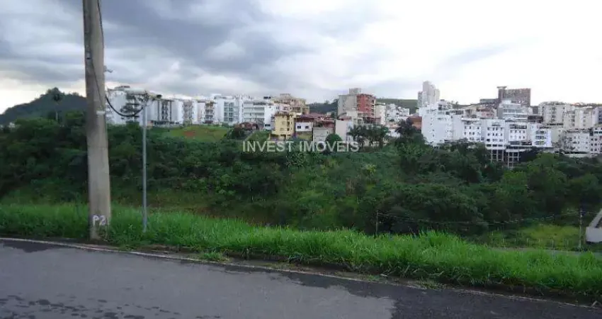 Terreno em condomínio fechado à venda na Rua Flores de Ouro Preto, LOTE 26, Estrela Sul, Juiz de Fora