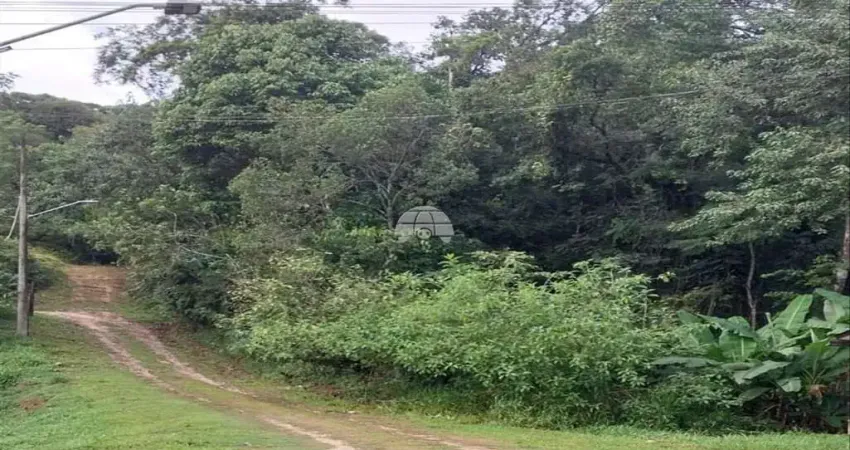 Terreno à venda na RUA EDGAR WITHERS, 00, Penha, Antonina