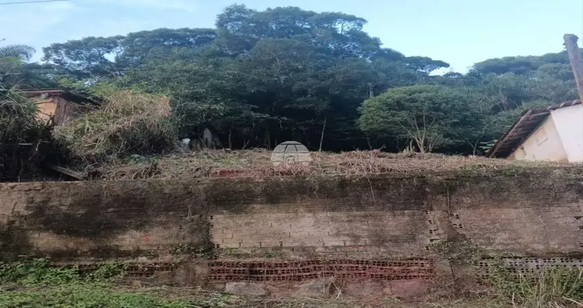 Terreno à venda na RUA OLAVO SEIDEL, 132, Batel, Antonina