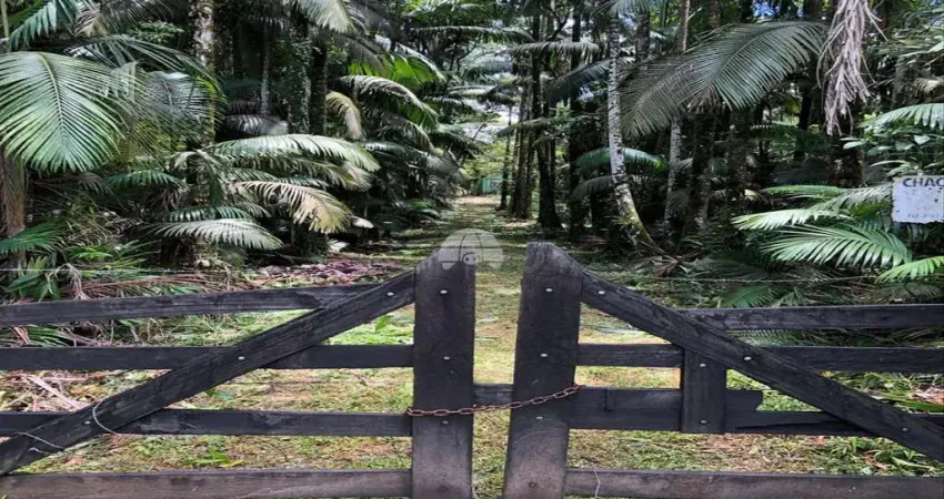 Chácara / sítio com 2 quartos à venda na RODOVIA PR-340, 207, Estrada do Cacatu, Antonina