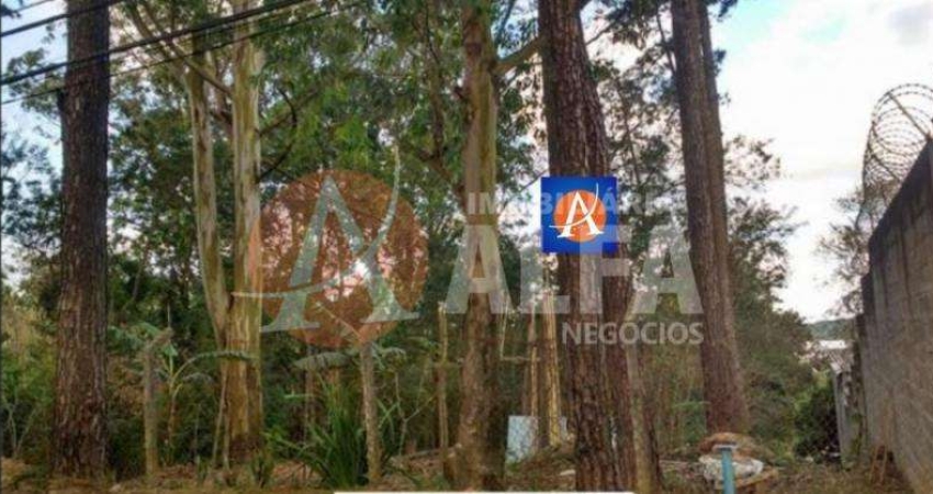 Terreno - 650 mts 2 - Parque dos Pinos - Cotia / SP