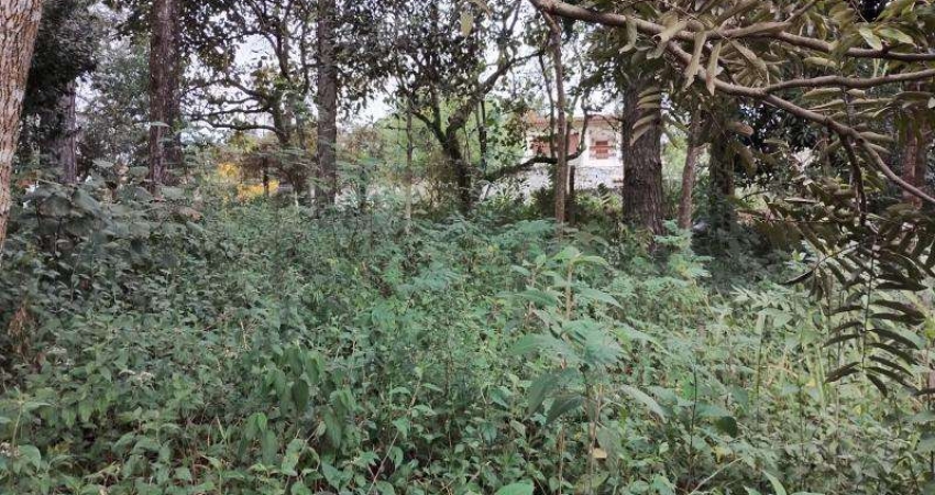 TERRENO DE ESQUINA - 586,2 m² - Bairro gramado -  Cotia/SP