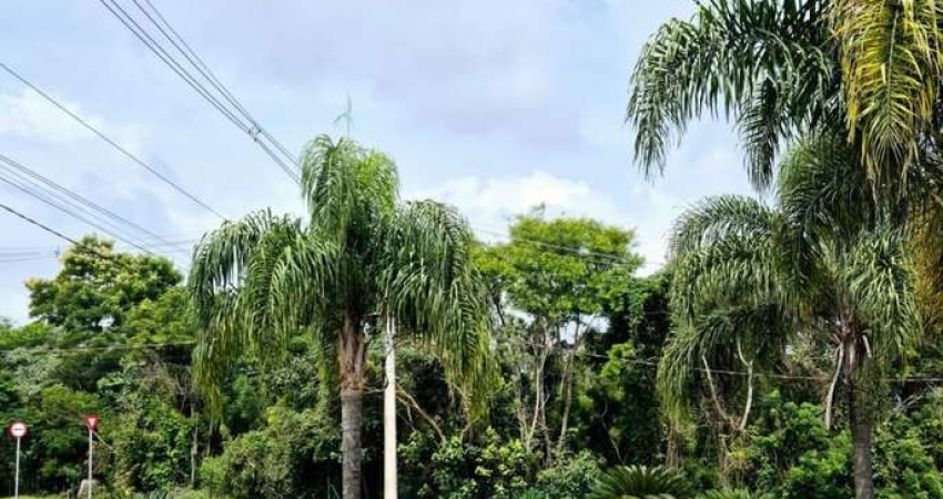Terreno em Condomínio de Alto Padrão -  Condominio Reserva Santa Paula - Cotia/SP