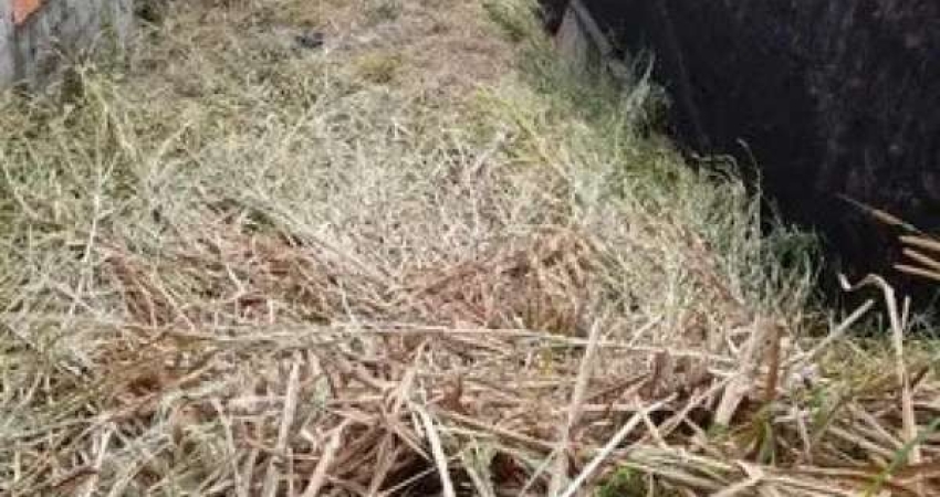 Terreno à venda na Rua Nogam, Jardim Leonor, Cotia