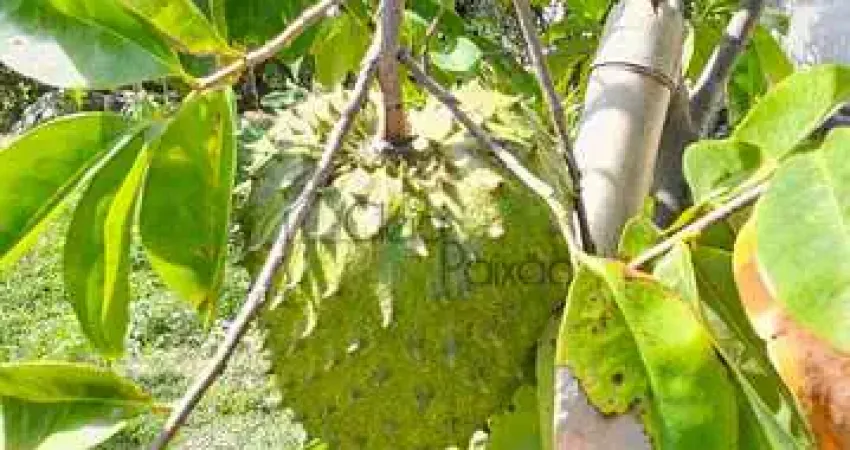 Casa com 2 quartos à venda na Rua Tucanos, 35, Parque Nanci, Maricá