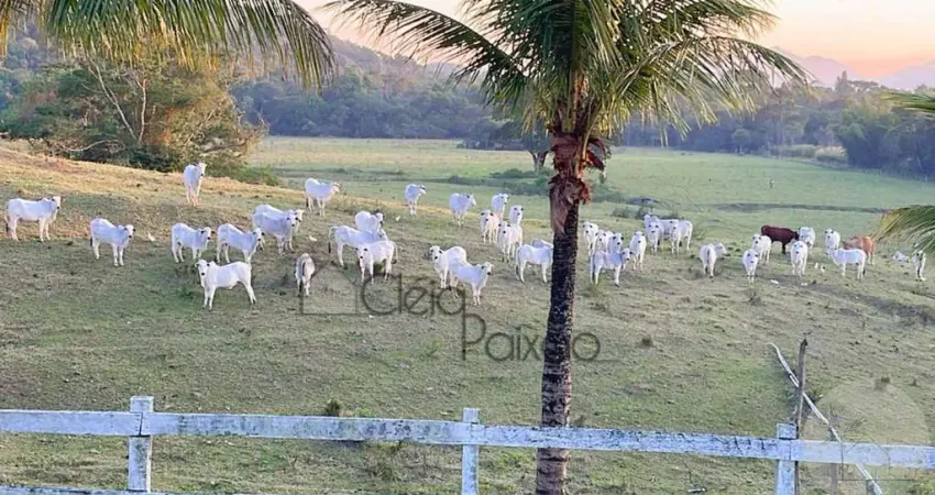 Fazenda com 1 sala à venda na Rua Bosque Fundo, 15, Inoã, Maricá
