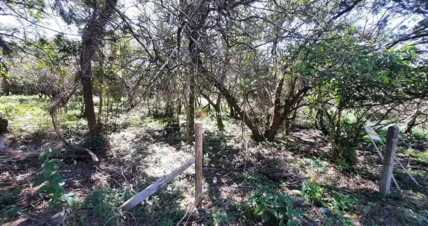 Terreno à venda na Servidão Pedro Manoel Borba, 224, Açores, Florianópolis