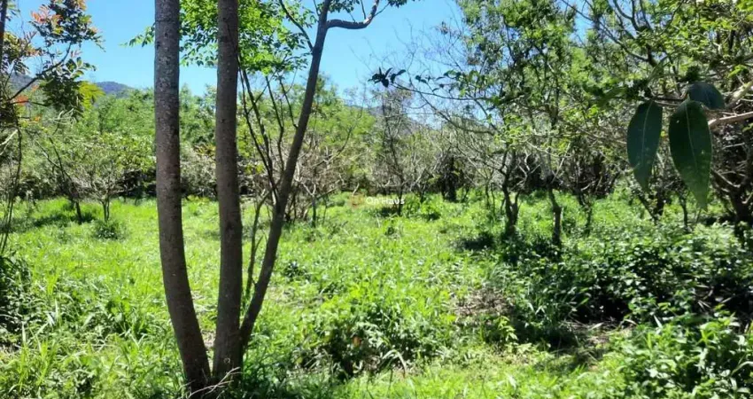 Terreno à venda na Servidão Pedro Manoel Borba, 112, Açores, Florianópolis