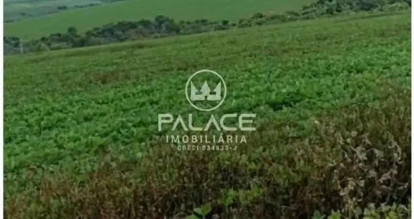 Fazenda à venda no Centro, Ibiá 