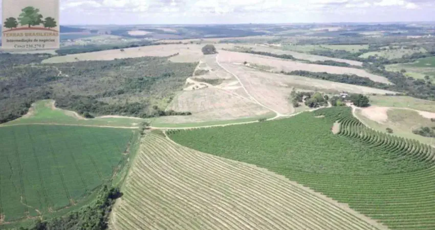 Fazenda com 5 salas à venda na Zona Rural, Perdizes 
