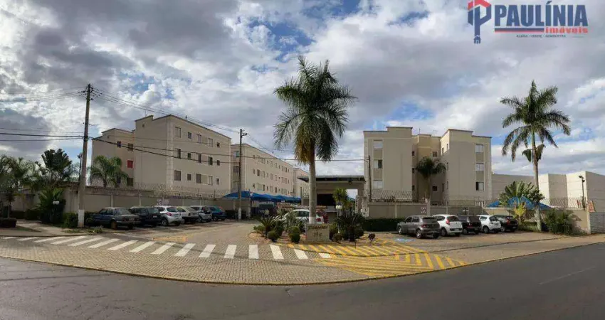 Apartamento com 2 dormitórios à venda, 42 m² por r$ 260.000,00 - residencial pitágoras - paulínia/sp