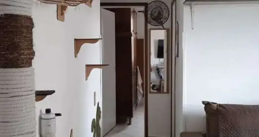 Apartamento com 2 quartos, parque são vicente, são vicente - r$ 240 mil, cod: 12901