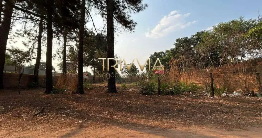 Venda de lote -plano em excelente localização – pronto para construir.