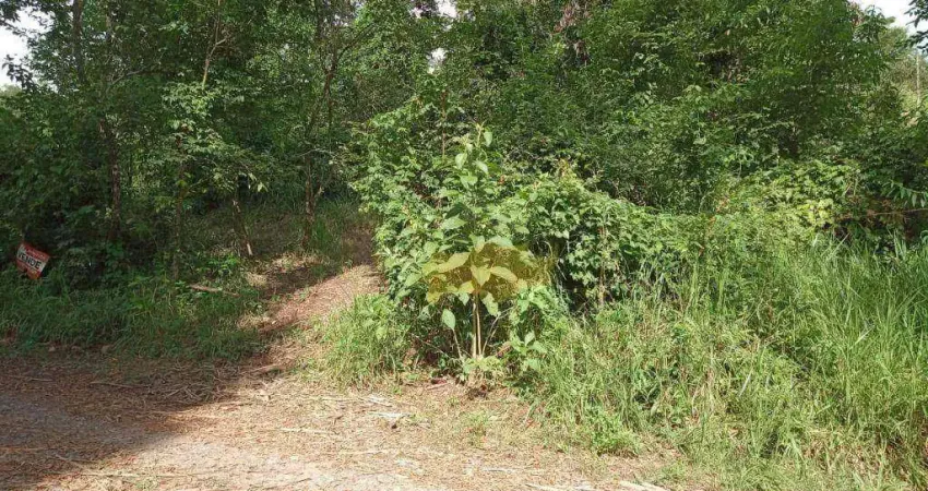 Terreno à venda, 760 m² por r$ 106.000,00 - loteamento fontes e bosques alam grei - rio claro/sp