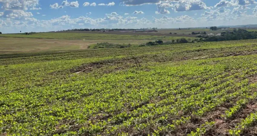 Propriedade de 7,72 alqueires em presidente castelo branco -pr