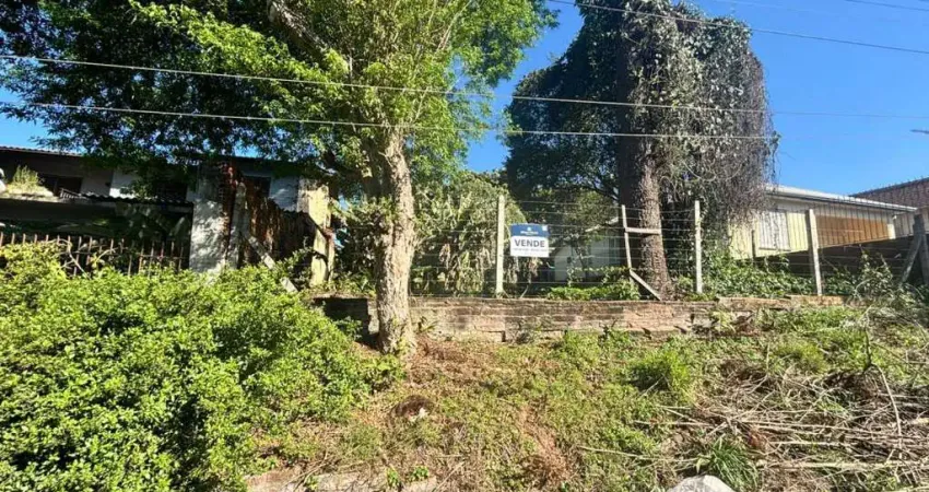 Terreno acima do nível da rua à venda no bairro liberdade, em novo hamburgo!