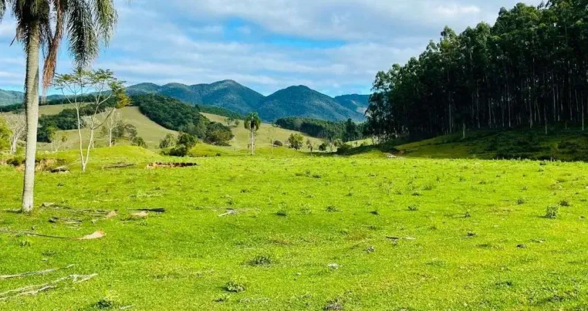 Fazenda à venda, 300000 m² por r$ 2.300.000,00 - aratingauba - imaruí/sc