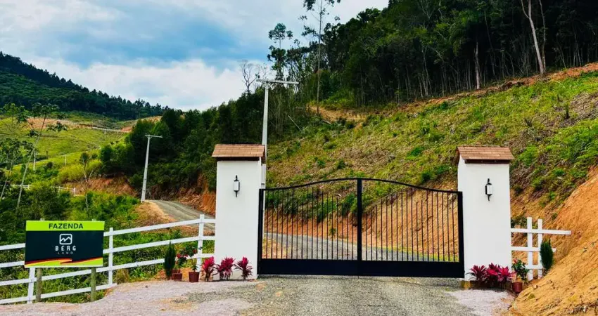 Terreno à venda, 20000 m² por r$ 380.000 - bergland - são martinho/sc