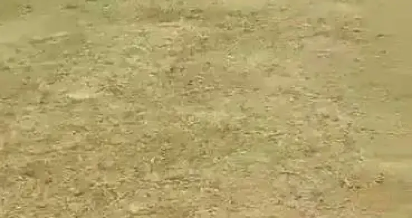 Terreno à venda na 4ª Avenida Centro Administrativo da Bahia, 765, Centro Administrativo da Bahia, Salvador