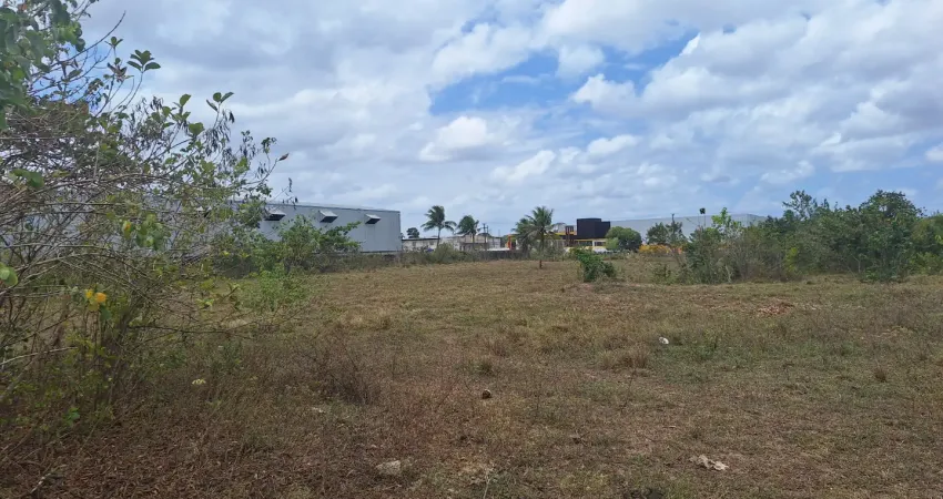 Terreno comercial à venda na Rua das Jabuticabeiras, 1000, Indústrias, João Pessoa