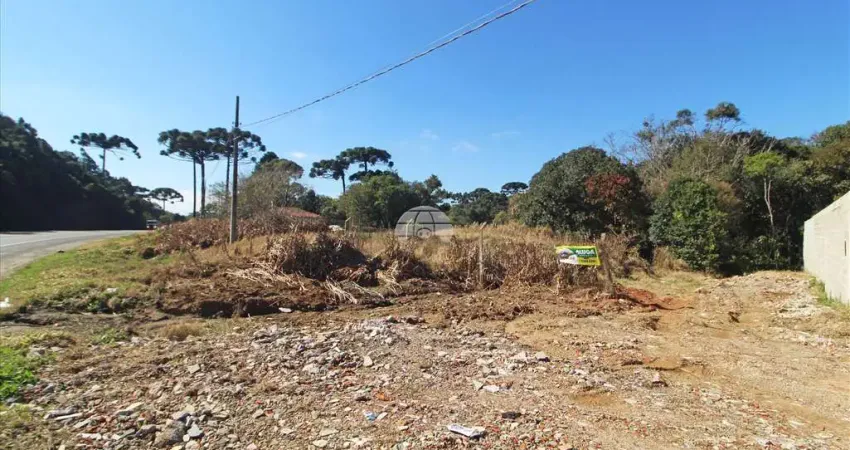 Terreno comercial para alugar na RUA ADMAR BERTOLLI, 7546, Jardim Marambaia, Almirante Tamandaré