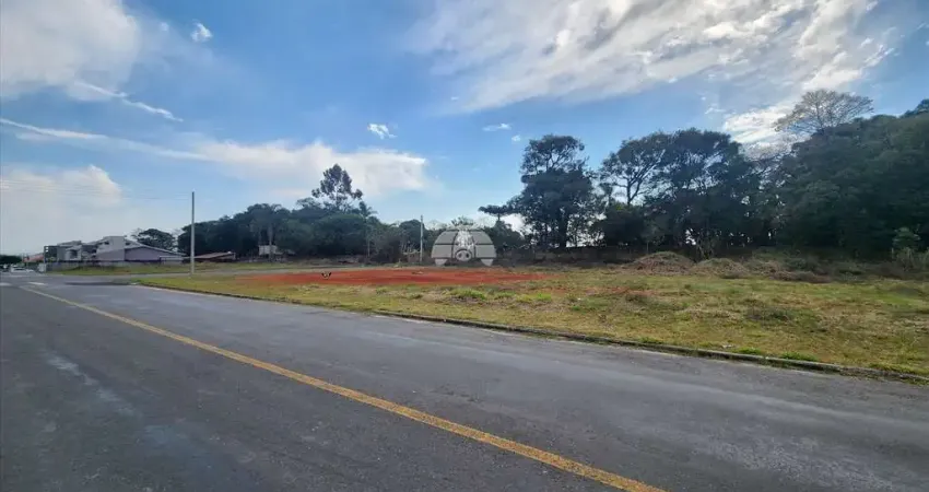 Terreno comercial para alugar na Rua Antônio Bizetto, 78, Vila Ferrari, Campo Largo