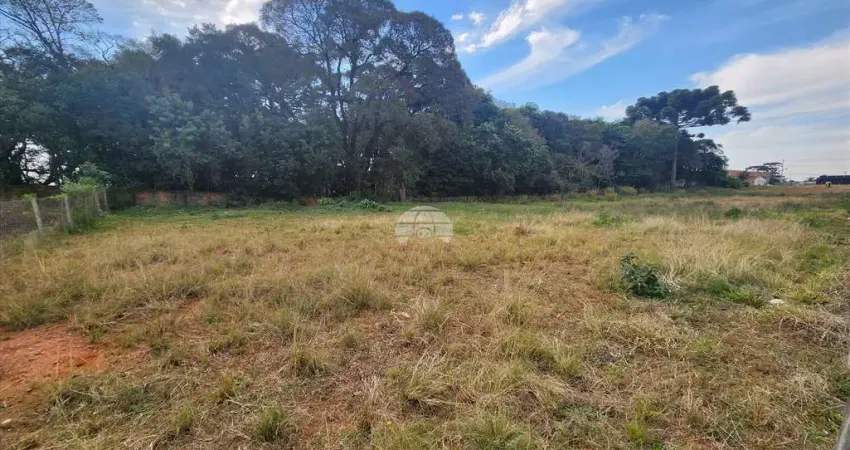 Terreno comercial para alugar na Rua Antônio Bizetto, 14, Vila Ferrari, Campo Largo