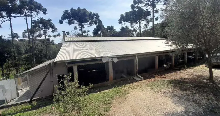 Barracão / Galpão / Depósito para alugar na Rua Antônio Chemin, 176, Roça Grande, Colombo