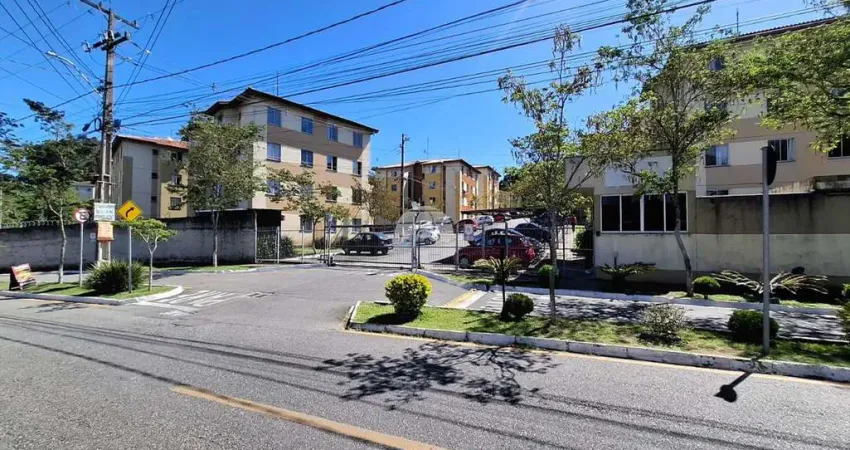 Apartamento com 2 quartos para alugar na Rua Antônio Kuss, 80, Colônia Rio Grande, São José dos Pinhais