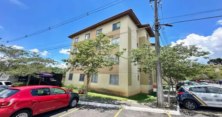 Apartamento com 2 quartos para alugar na Rua Antônio Kuss, 80, Colônia Rio Grande, São José dos Pinhais