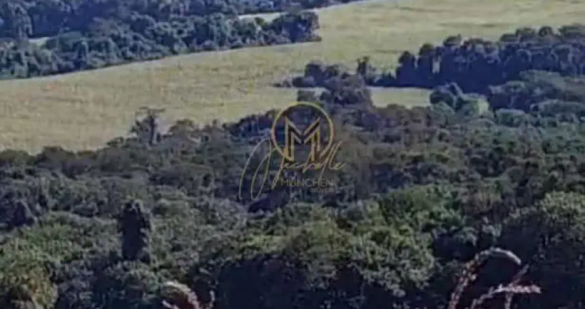 Fazenda à venda no Centro, Tamarana 