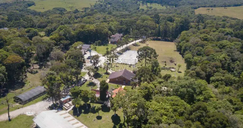 Chácara / sítio com 6 quartos à venda na Rua João Batista de Souza Maceno, Borda do Campo, Piraquara