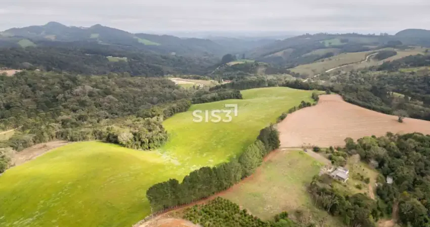 Fazenda à venda no Bateias, Campo Largo