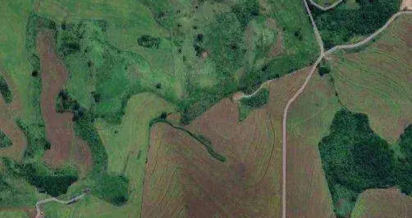 Chácara à venda, 22945 m² por R$ 400.000,00 - Distrito Maravilha - Londrina/PR