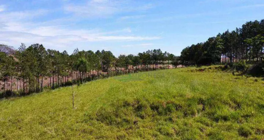 Chácara à venda, 22000 m² por r$ 500.000,00 - jardim união da vitória ii - londrina/pr