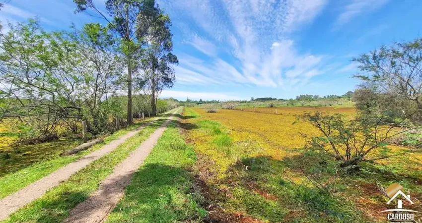 Lindo sítio de 7,5ha com água em abundância - r$650.000 - águas claras - viamão