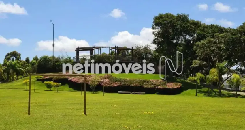 Terreno em condomínio fechado à venda na Rua das Andorinhas, Alphaville - Lagoa dos Ingleses, Nova Lima