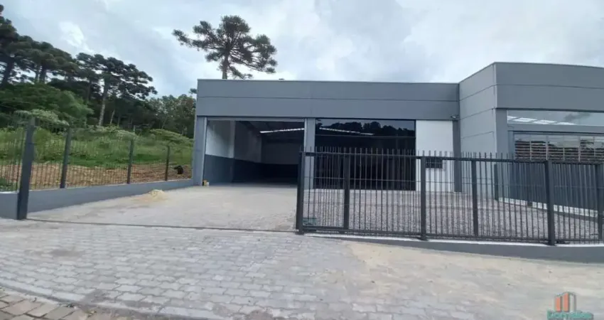 Barracão / Galpão / Depósito à venda no Salgado Filho, Caxias do Sul 