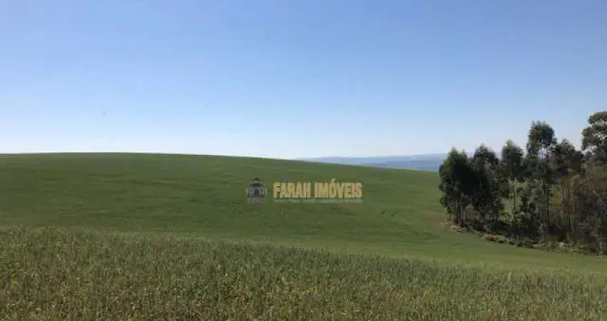 Chácara / sítio com 3 quartos à venda na Zona Rural, Tamarana 