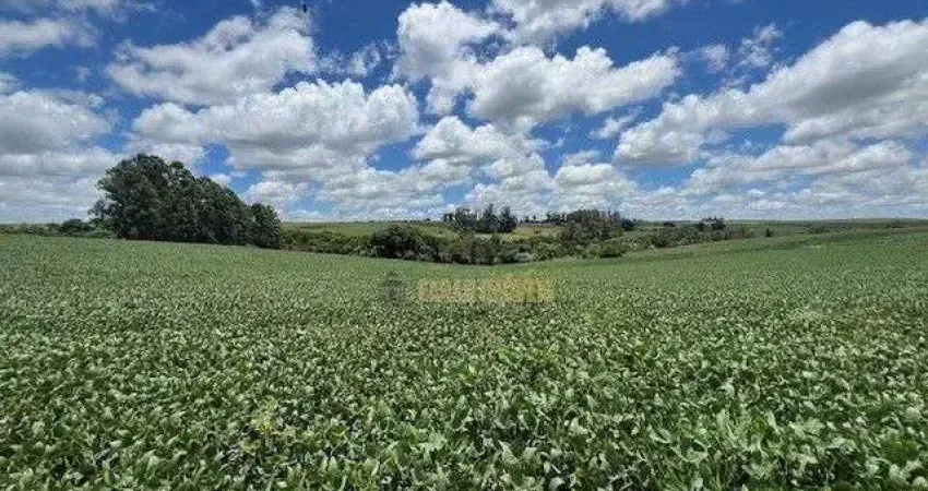 Chácara / sítio com 6 quartos à venda no Parque Industrial José Garcia Gimenes, Cambé 