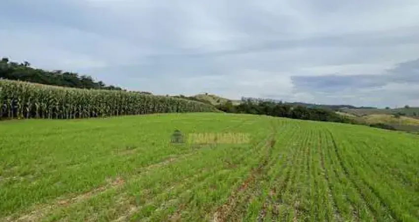 Chácara / sítio com 1 quarto à venda na Área Rural de Londrina, Londrina