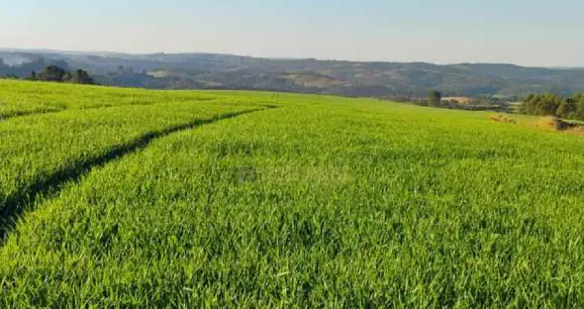 Chácara / sítio com 1 quarto à venda no Centro, Tamarana 