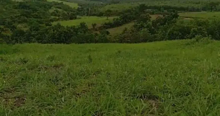 Chácara 12 hectares a venda em monte carmelo - mg12 hectares de área total, formado em pasto, plantação, córrego e mais!aproveite essa oportunidade! josé edlanio - corretor de imóveis - creci mgf 5133
