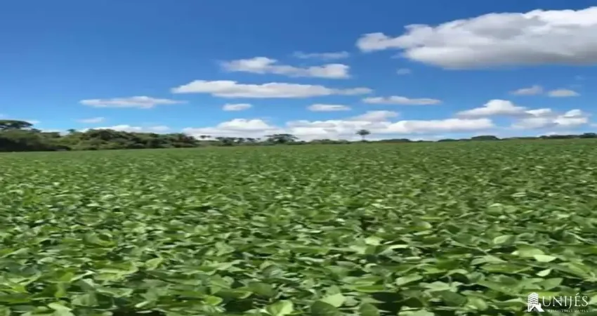 Fazenda de 20 alqueires na região da contenda em araguari-mg: café, soja, reserva e documentação ok!