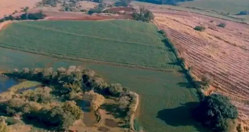 Vende-se fazenda 57.2 alqueires com casa 04 quartos em santo antônio da platina - paraná