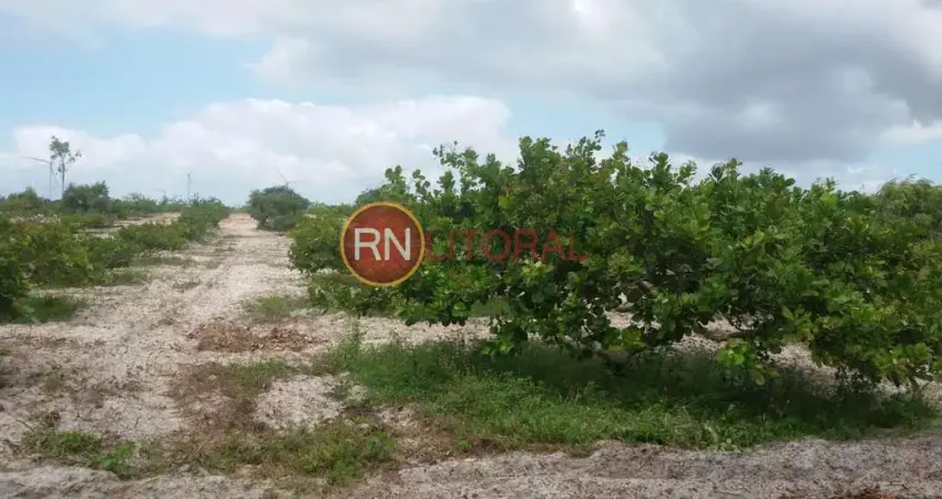 Granja para venda em ceará-mirim, santa águeda, 2 dormitórios, 1 banheiro