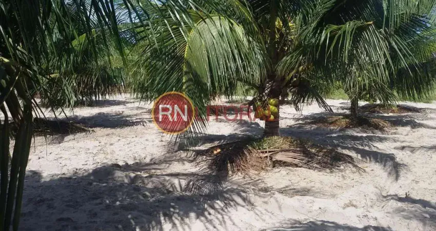Granja para venda em ceará-mirim, santa águeda, 3 dormitórios, 1 banheiro, 3 vagas